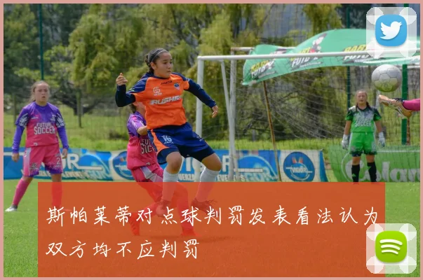 斯帕莱蒂对点球判罚发表看法认为双方均不应判罚