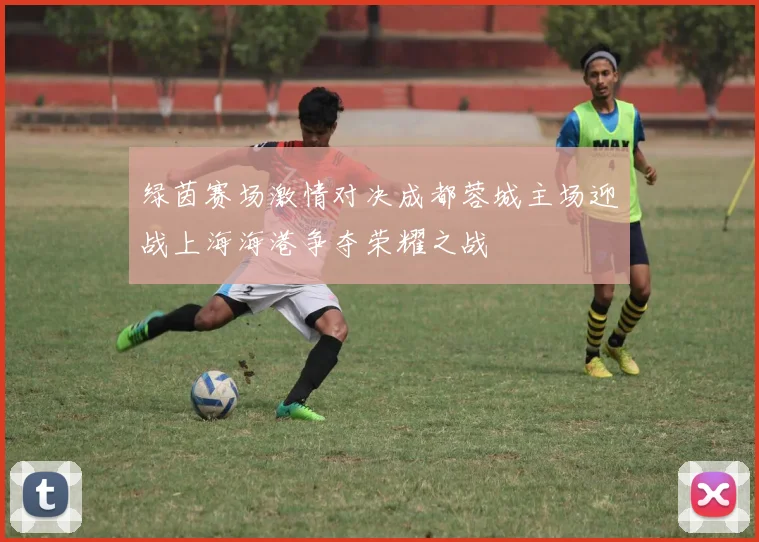 绿茵赛场激情对决成都蓉城主场迎战上海海港争夺荣耀之战